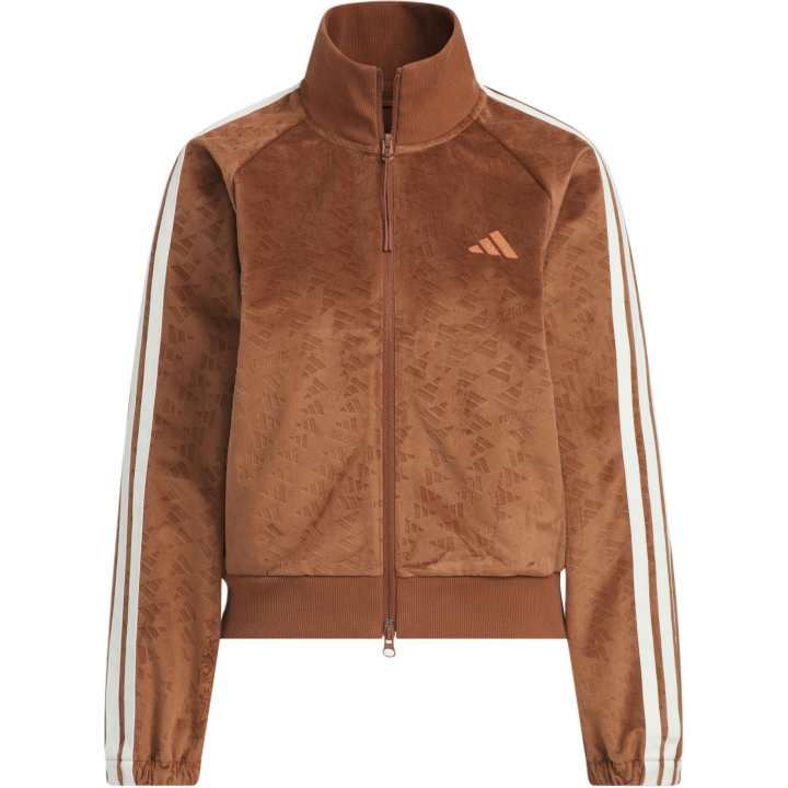 Adidas Adidas STORY VELVET Jacket Women's