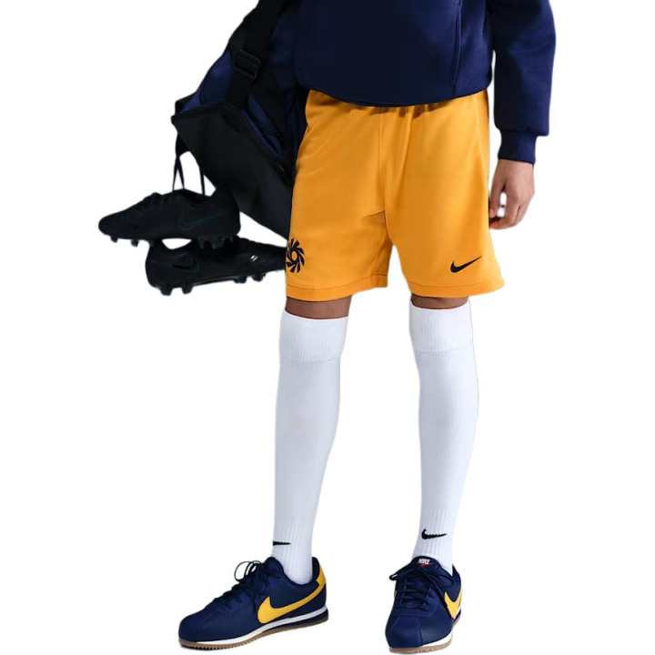 Nike Nike Kids Shorts Moderate