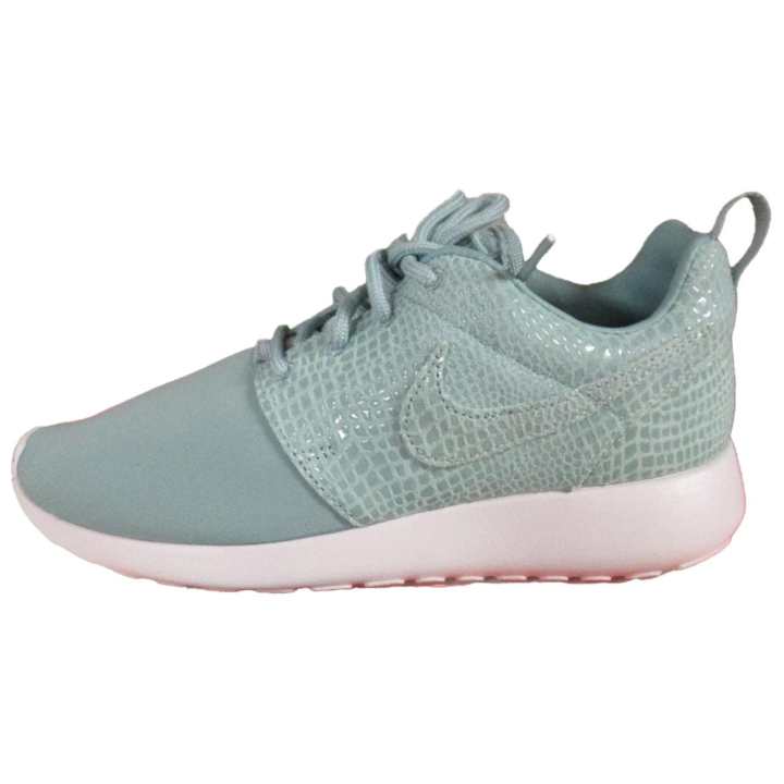 Nike Nike Roshe One Running Shoes Women's Blue