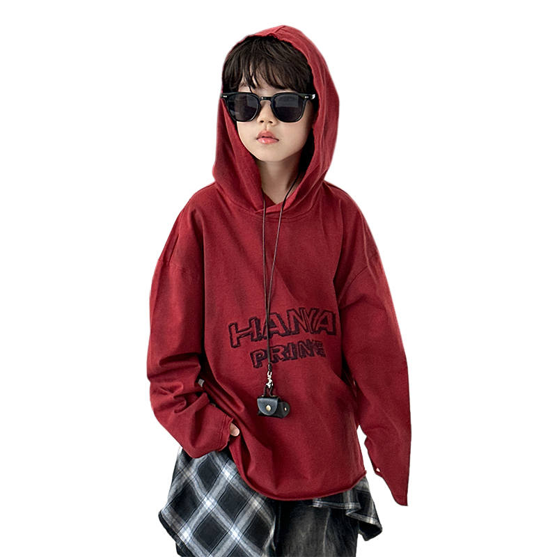 Lanza Lanza Casual Sweatshirt Spring Fall Teenagers