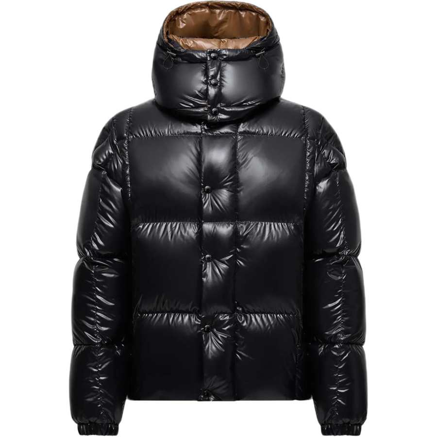 Moncler Moncler Parana Series Down Jacket Unisex