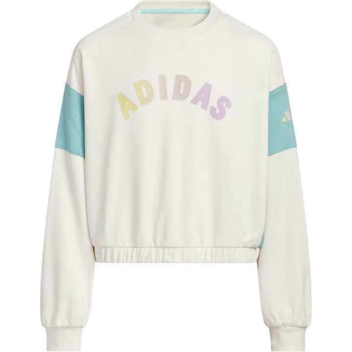 Adidas Adidas Kids Sweatshirts Crew Neck Moderate
