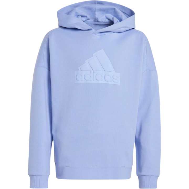 Adidas Adidas Kids Sweatshirts Hooded Moderate