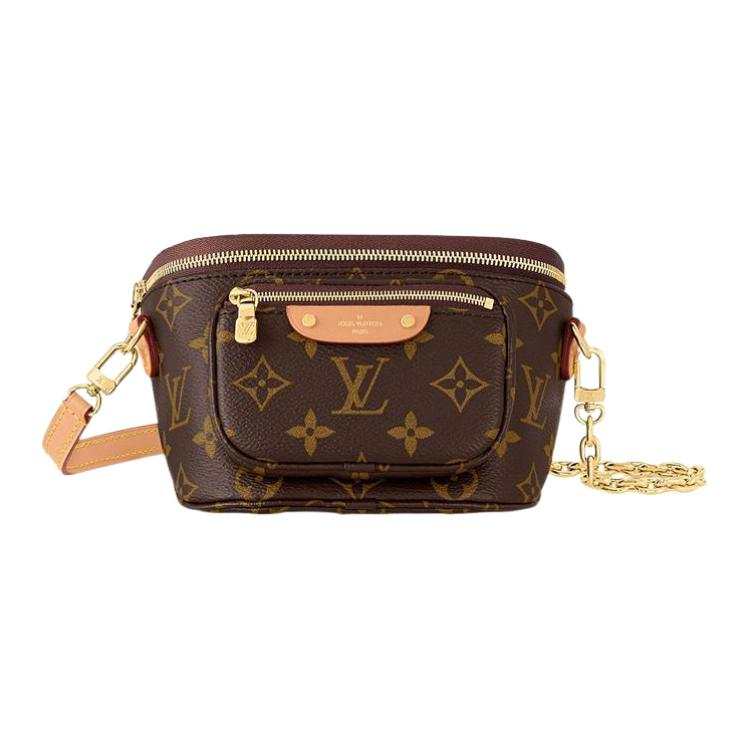 LOUIS VUITTON LOUIS VUITTON Mini Bumbag Monogram