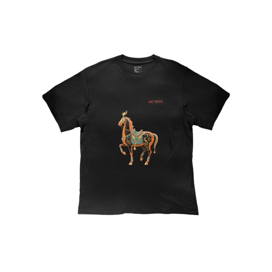 Arcteryx T Shirts Unisex Black/Dynasty Red/Black/Dynasty Crew Neck Thin Straight Fit
