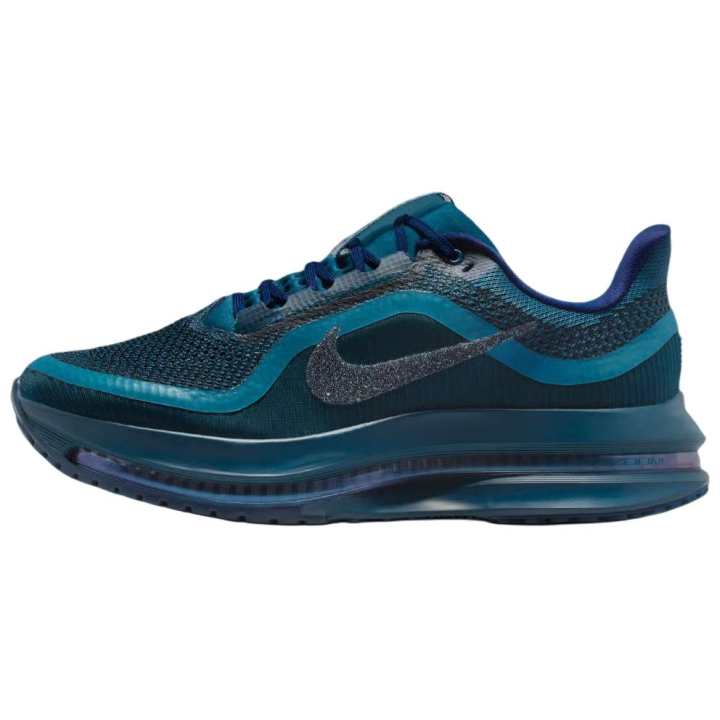 Nike Nike Pegasus Premium Breathable And Resilient Running Shoes Women's Blue
