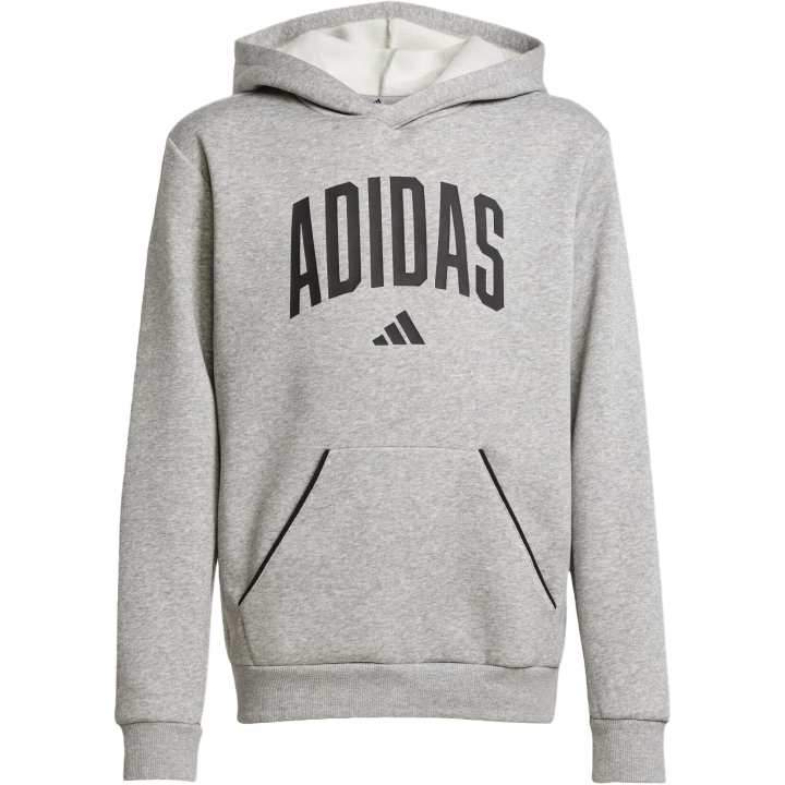 Adidas Adidas Kids Sweatshirts Hooded Moderate
