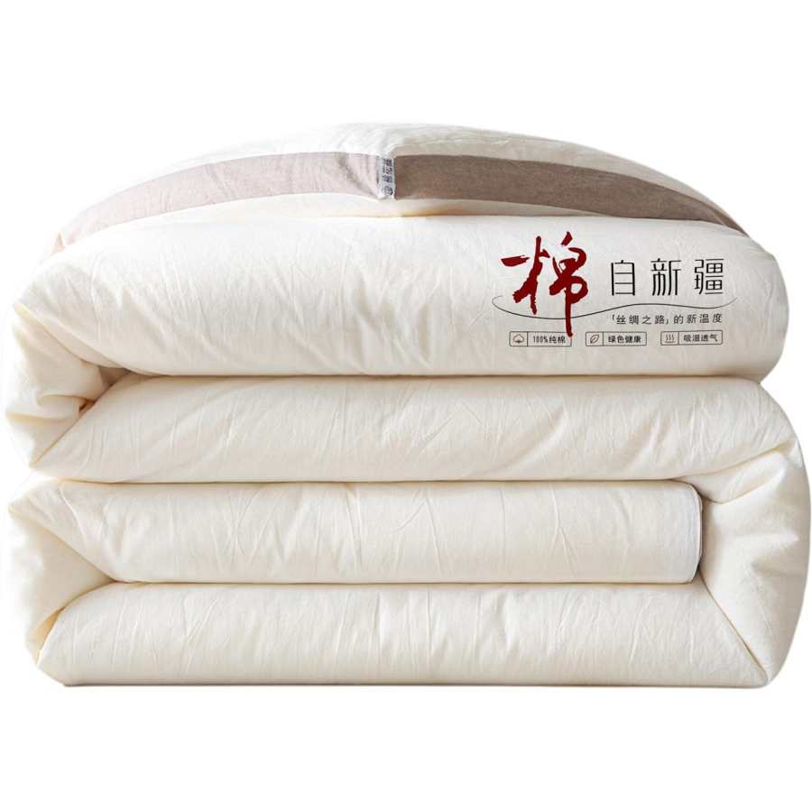 Yalu 3D Effect Cotton Quilt, Spring Fall Quilt, Home Double Quilt, Winter Quilt, Students Dormitory All Season All