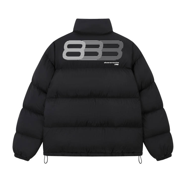 FPA Down Jackets Unisex Stand Collar Moderate Other