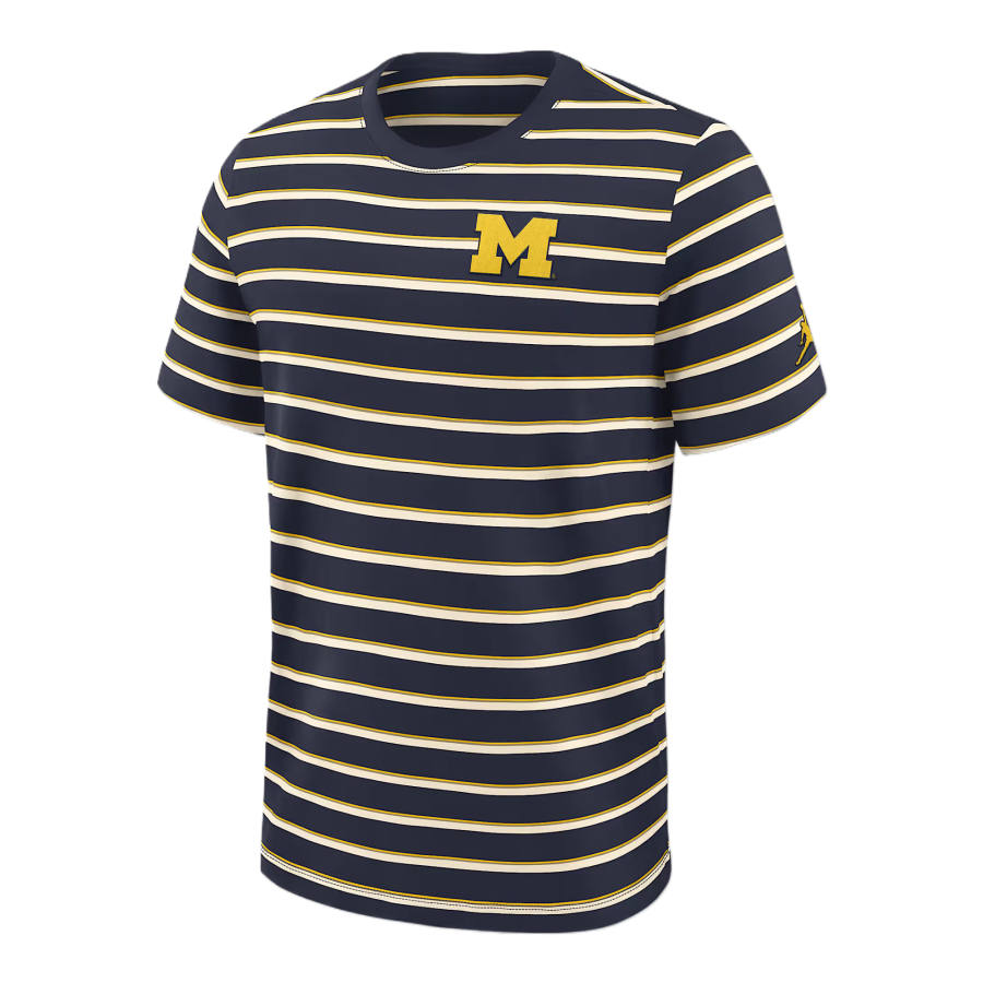 Jordan Jordan Michigan Athletic Prep Legacy Summit Stripe Men's Jordan Brand College T-Shirt