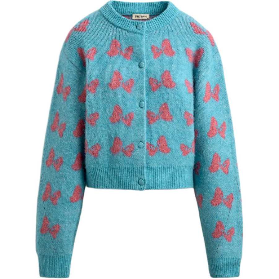 ZARA x Disney Harry Lambert FW25 Knitwear Women's