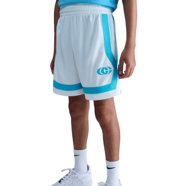 Nike Nike Kids Shorts Moderate