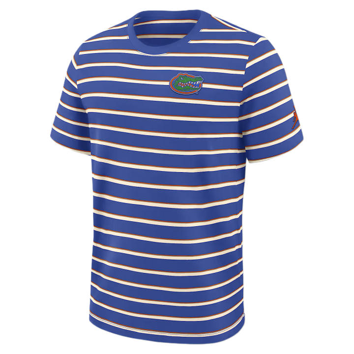 Nike Nike Florida Athletic Prep Legacy Summit Stripe Men's Nike Brand College T-Shirt
