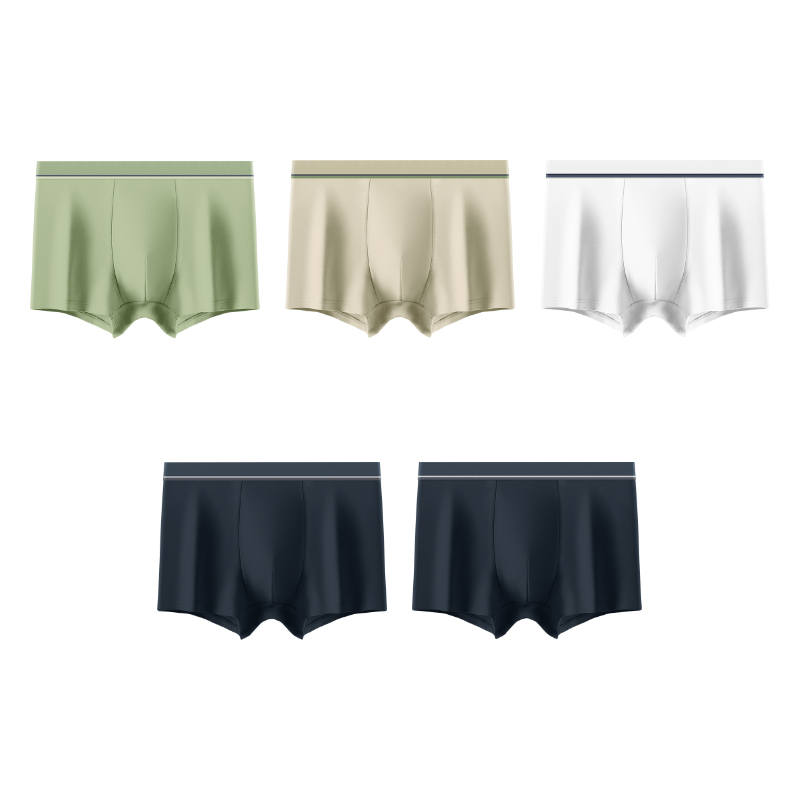 MIIOW MIIOW Boxer Briefs Men's 5 Pack