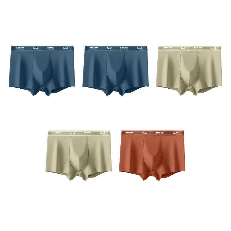 MIIOW MIIOW Boxer Briefs Men's 5 Pack