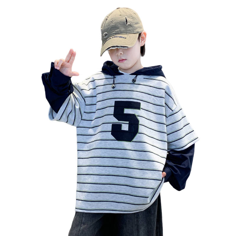 Lanza Casual Sweatshirt Spring Fall Gray Teenagers