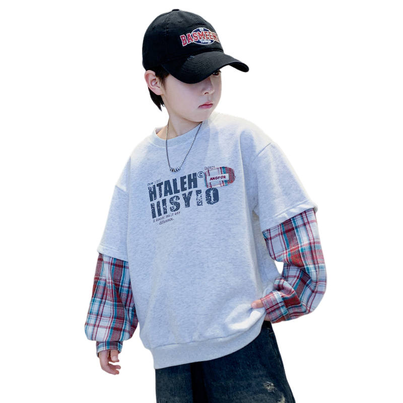 Lanza Casual Sweatshirt Spring Fall Gray Teenagers