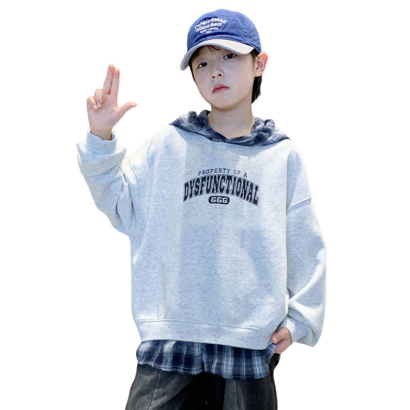 Lanza Casual Sweatshirt Spring Fall Gray Teenagers