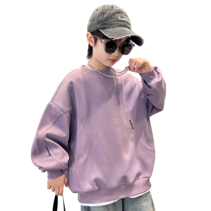 Lanza Casual Sweatshirt Spring Fall Purple Teenagers
