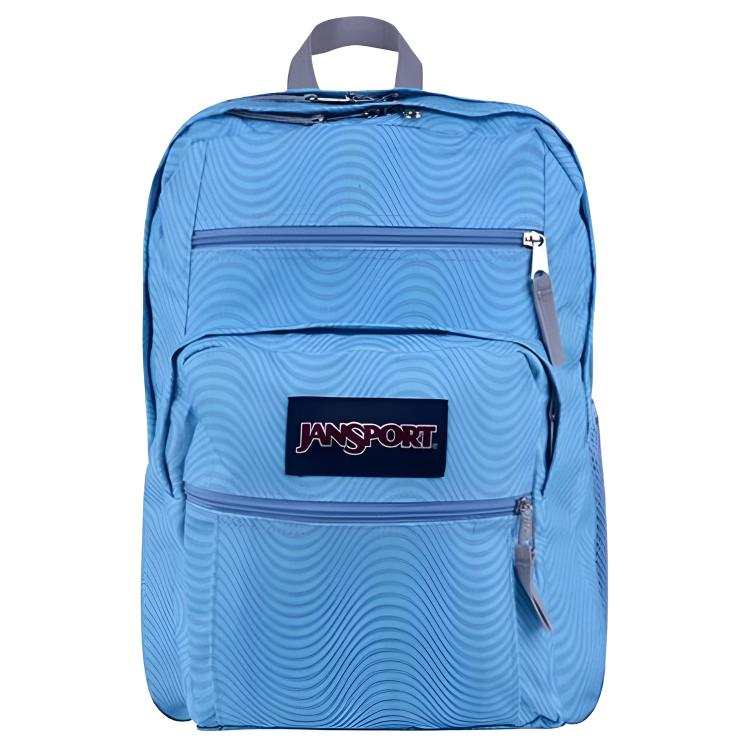 JanSport JanSport Fabric Backpack Men's Blue