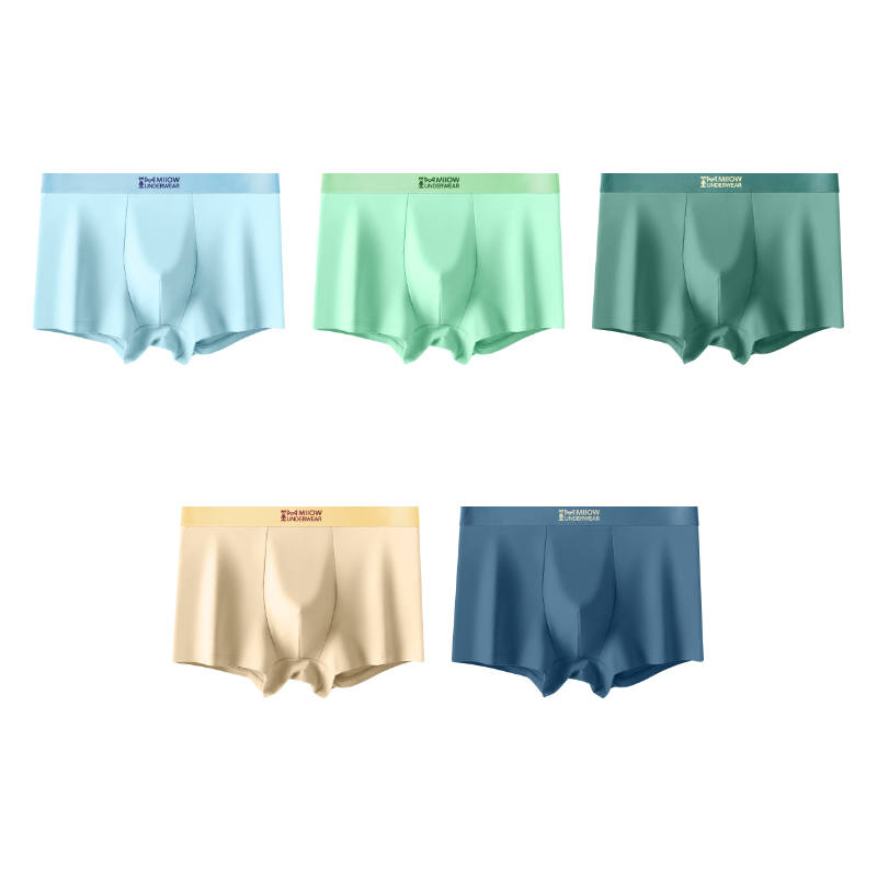 MIIOW MIIOW Boxer Briefs Men's 5 Pack
