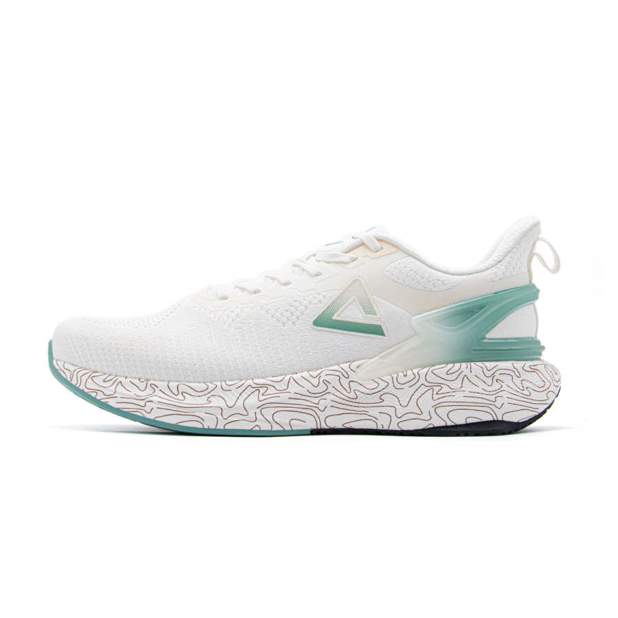 PEAK Taichi 6.0 Cushioning Breathable Rebound Low top Casual Running Shoes Men's