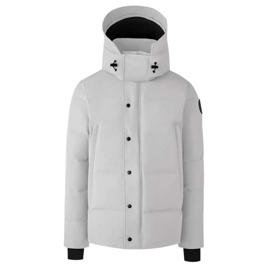 Canada Goose Canada Goose Wyndham Down Jacket Parka Coat Unisex Silver Birch