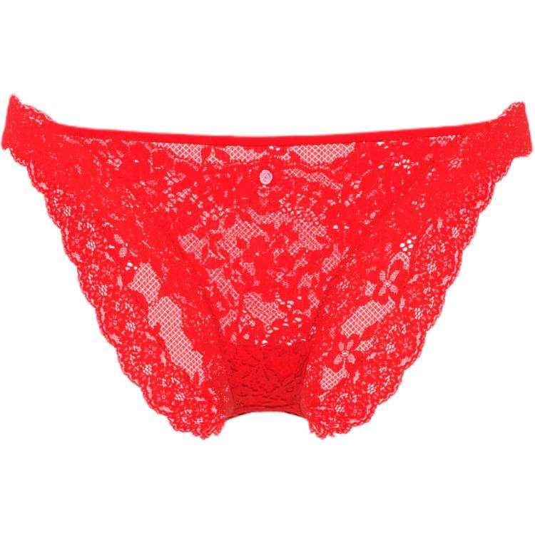Victoria's Secret Dream Angels Briefs Women's