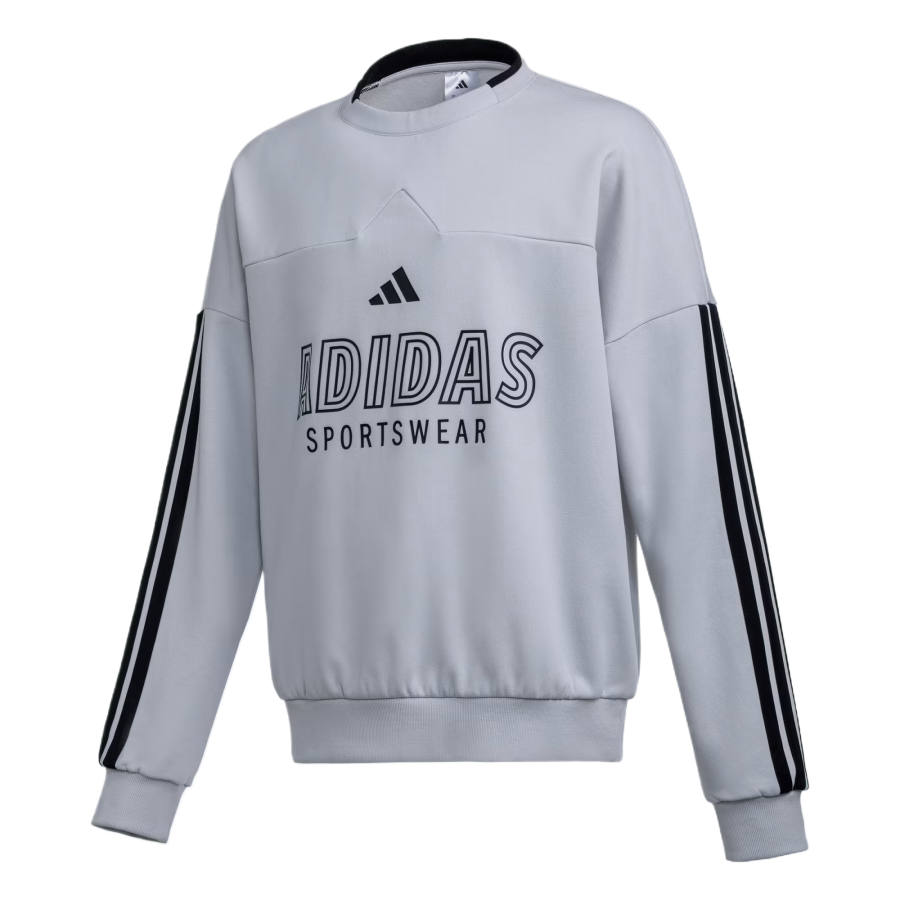 Adidas Adidas Sweatshirts Men's Gray Crew Neck Moderate
