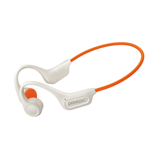 POLVCDG Wireless Headphones