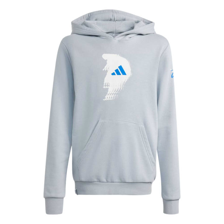 Adidas Adidas Kids Sweatshirts Hooded Moderate
