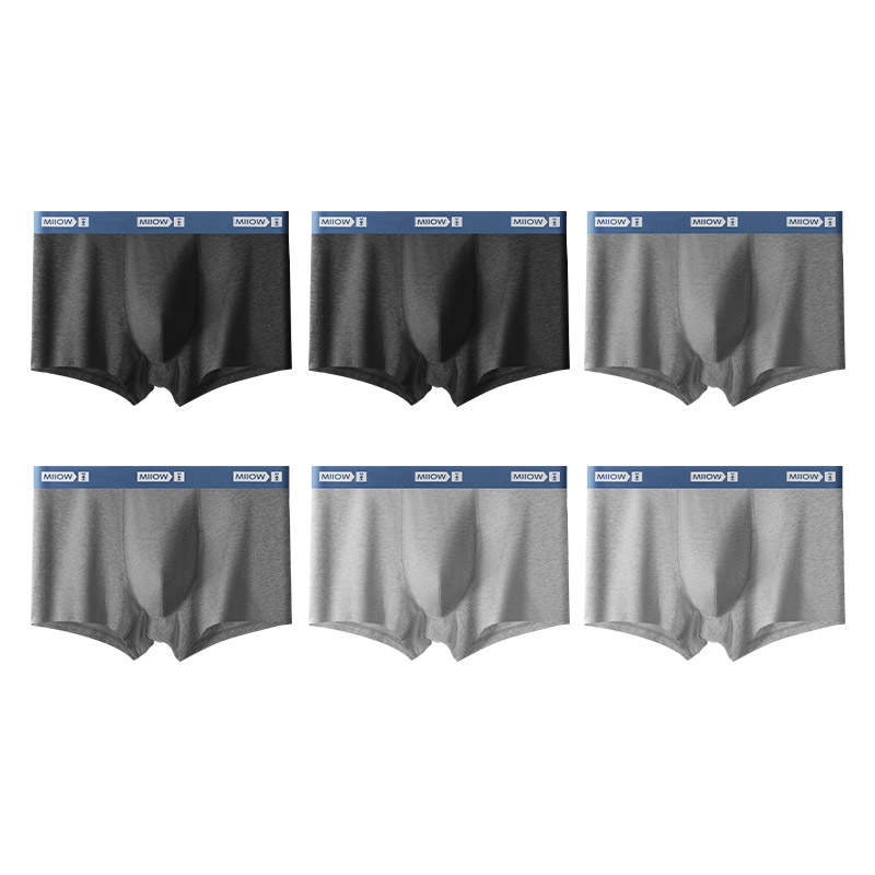 MIIOW MIIOW Boxer Briefs Men's 6 Pack