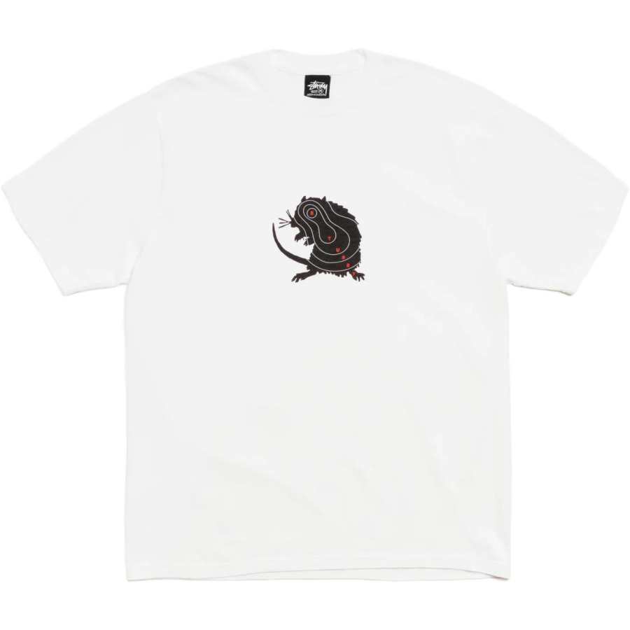 Stussy graphic-print T-shirt