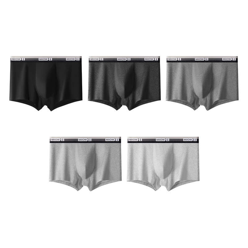 MIIOW MIIOW Boxer Briefs Men's 5 Pack