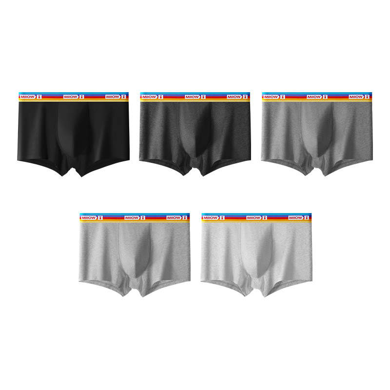 MIIOW MIIOW Boxer Briefs Men's 5 Pack
