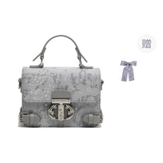 Carit&Koty Polyurethane/Synthetic Leather Handbag, Crossbody Bag Women's Gray/Pink