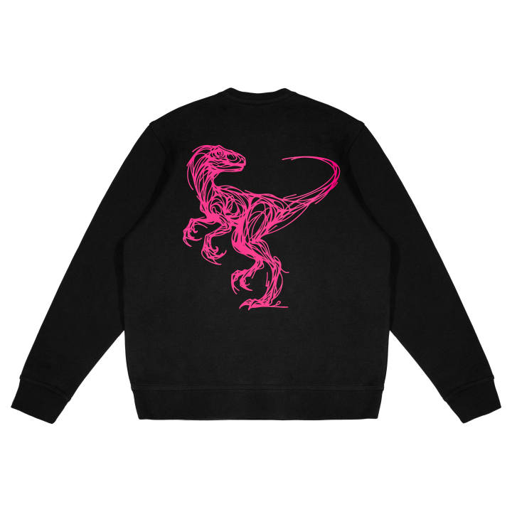 Nike Nike Sweatshirts Unisex Black Crew Neck Moderate Regular