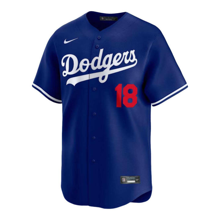 Nike Nike Baseball Jerseys Men's Dark Royal Blue V Neck Moderate