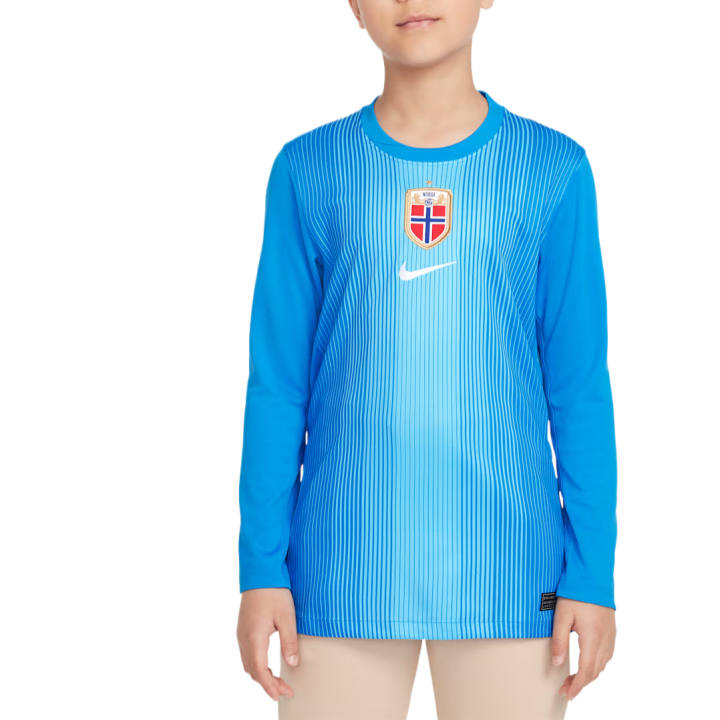 Nike Nike T Shirt Norway 2025/26 Stadium Goalkeeper Kids'