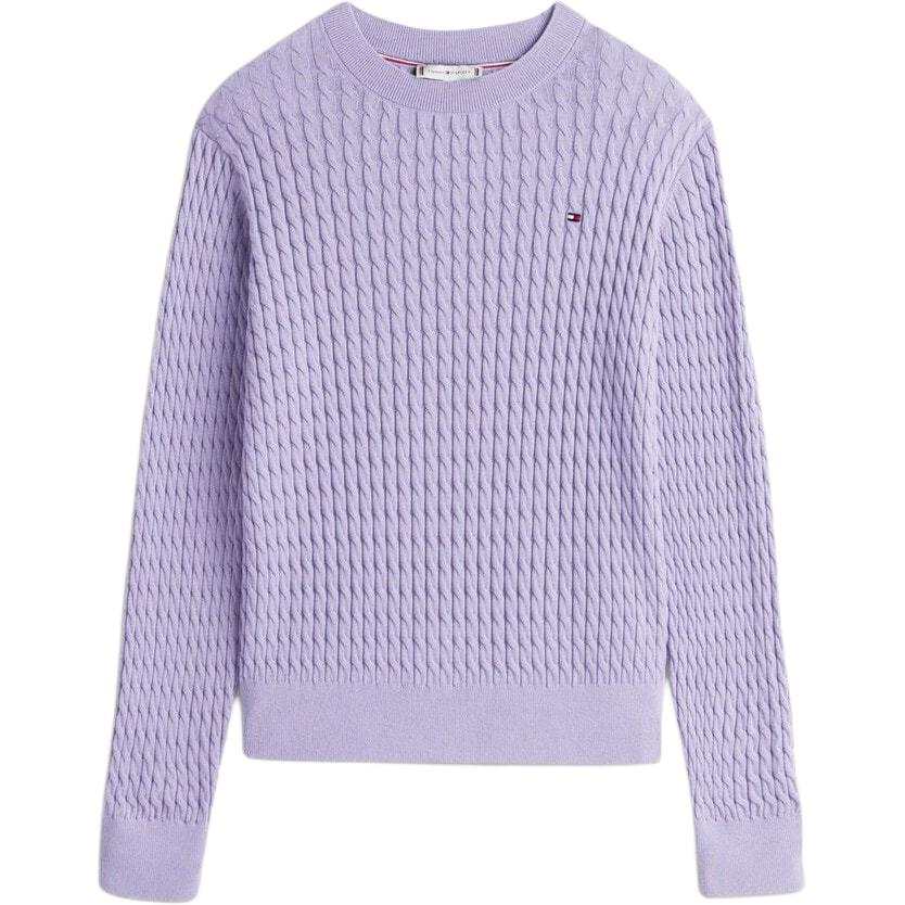 Tommy Hilfiger FW25 Sweater Women's