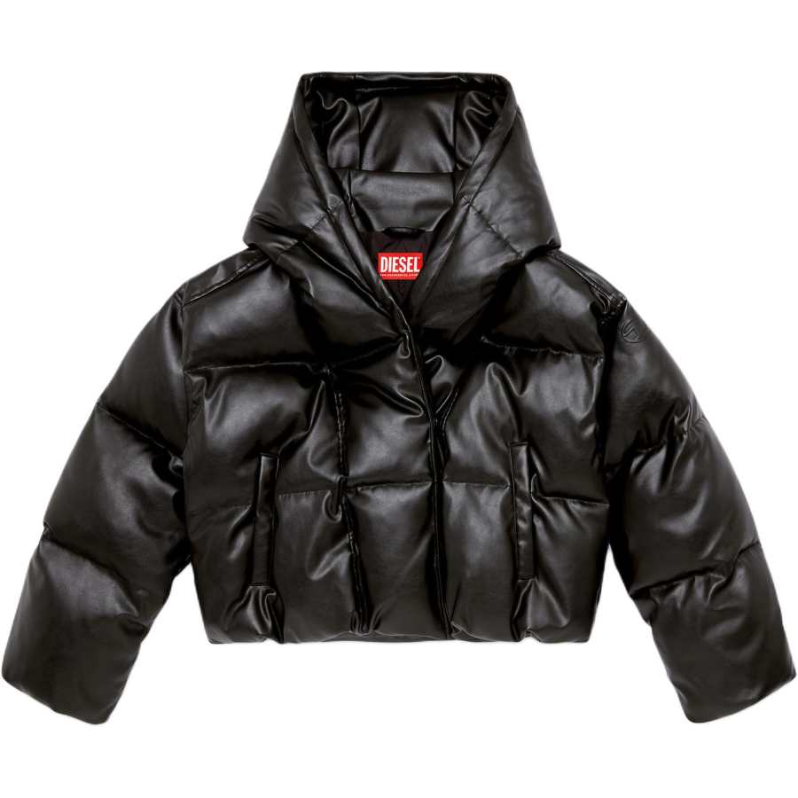 Diesel W-Illey hooded puffer jacket