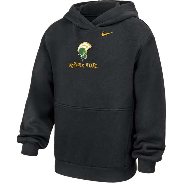 Nike Nike Kids Sweatshirts Hooded Moderate