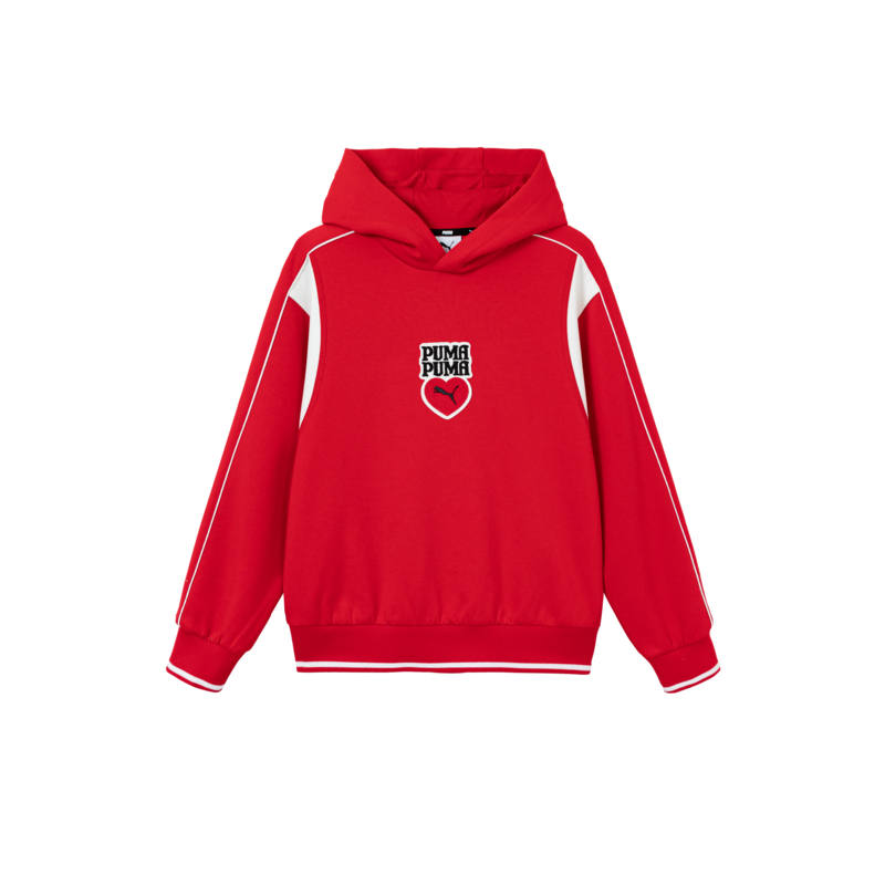 PUMA Unisex Sweatshirts Hooded Moderate