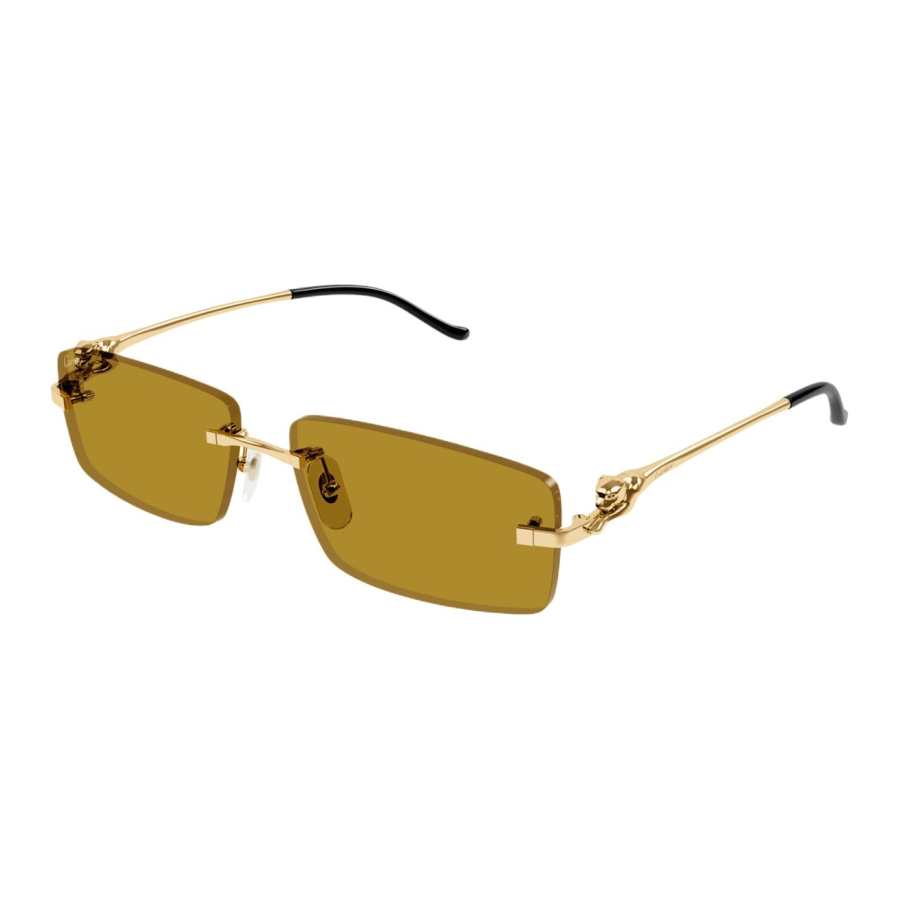 Cartier Cartier Rectangular Frame Sunglasses