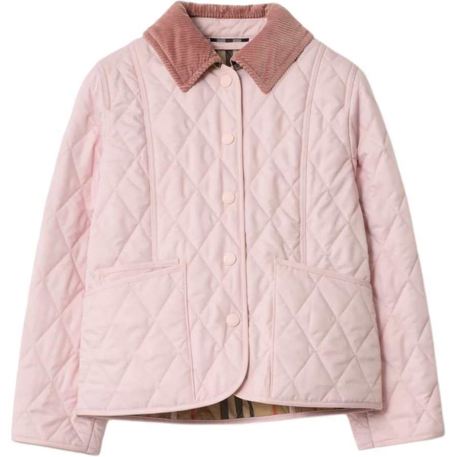 Burberry Kids Jackets Lapel Moderate