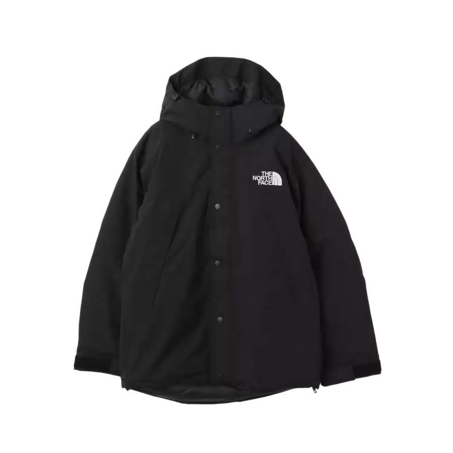 THE NORTH FACE Mountain FW25 Gore Te Down Jacket Men's