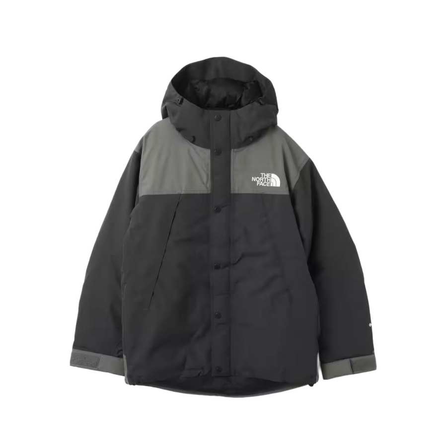 THE NORTH FACE Mountain FW25 Gore Te Down Jacket Men's