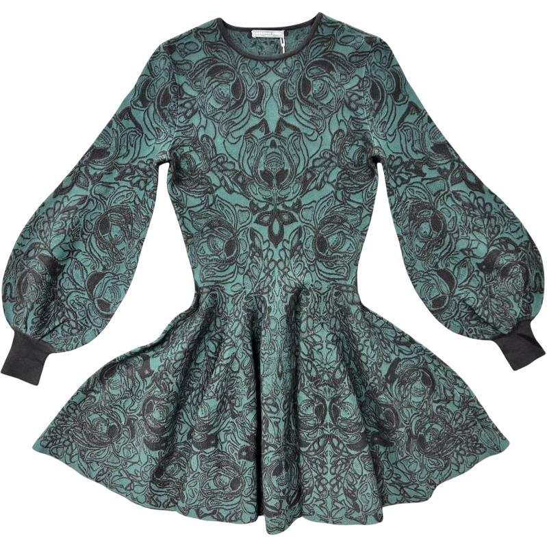 Alexander McQueen Long Sleeved Dress Women's