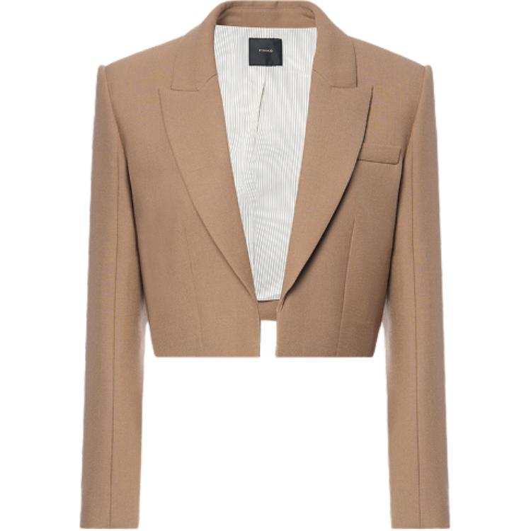 PINKO FW25 Business Suit Coat Women's