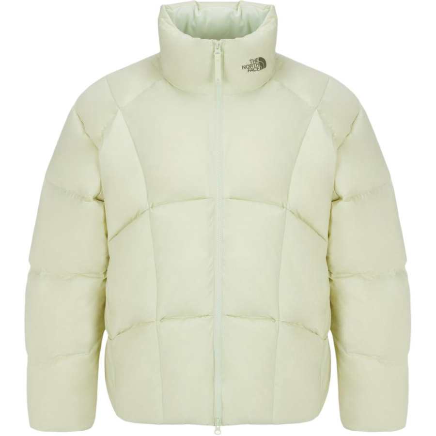 THE NORTH FACE THE NORTH FACE Down Jacket Men's